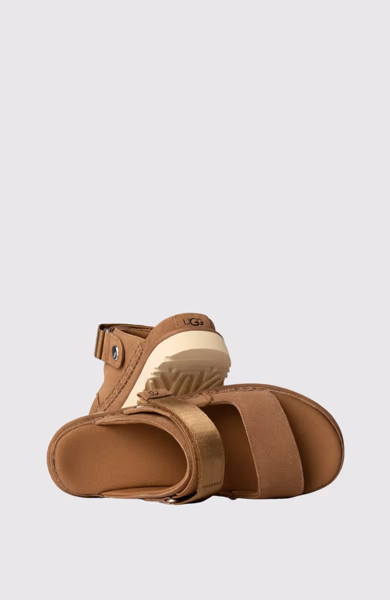 Goldenstar Glide 